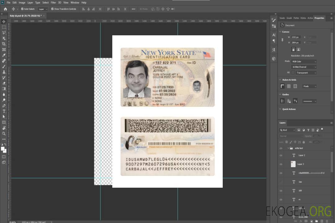 Carte d'identité des États-Unis à New York 2022-présent template Carte d'identité des États-Unis à New York 2022-présent template